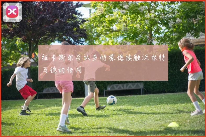 纽卡斯尔否认多特蒙德接触沃尔特马德的传闻