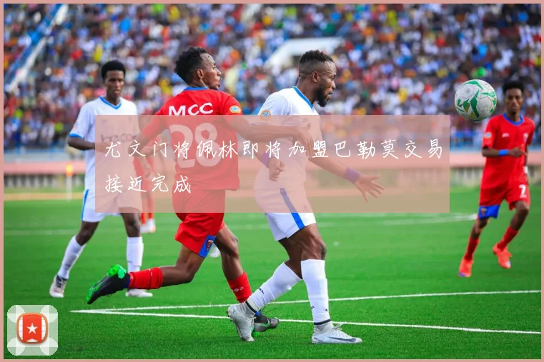 尤文门将佩林即将加盟巴勒莫交易接近完成